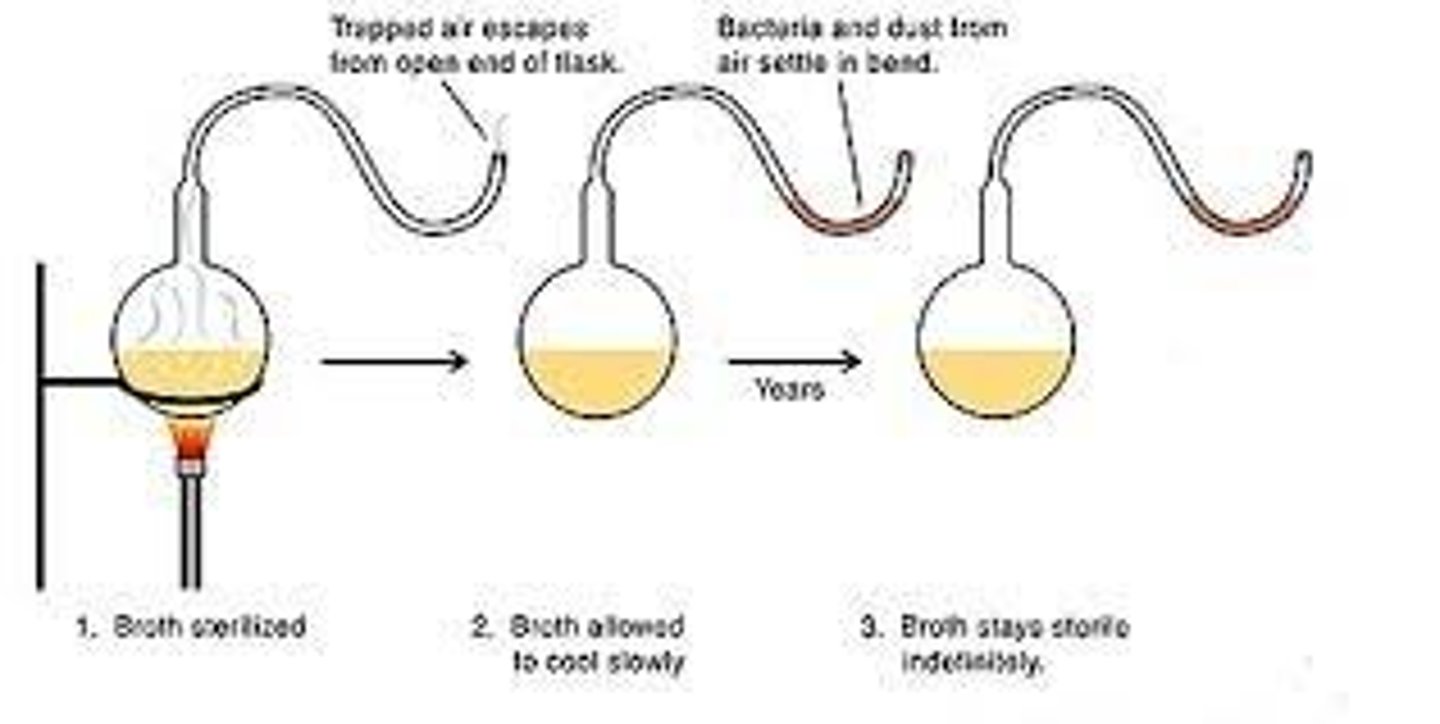 <p>the experiment pictured above was performed by __________ and disproved by</p>