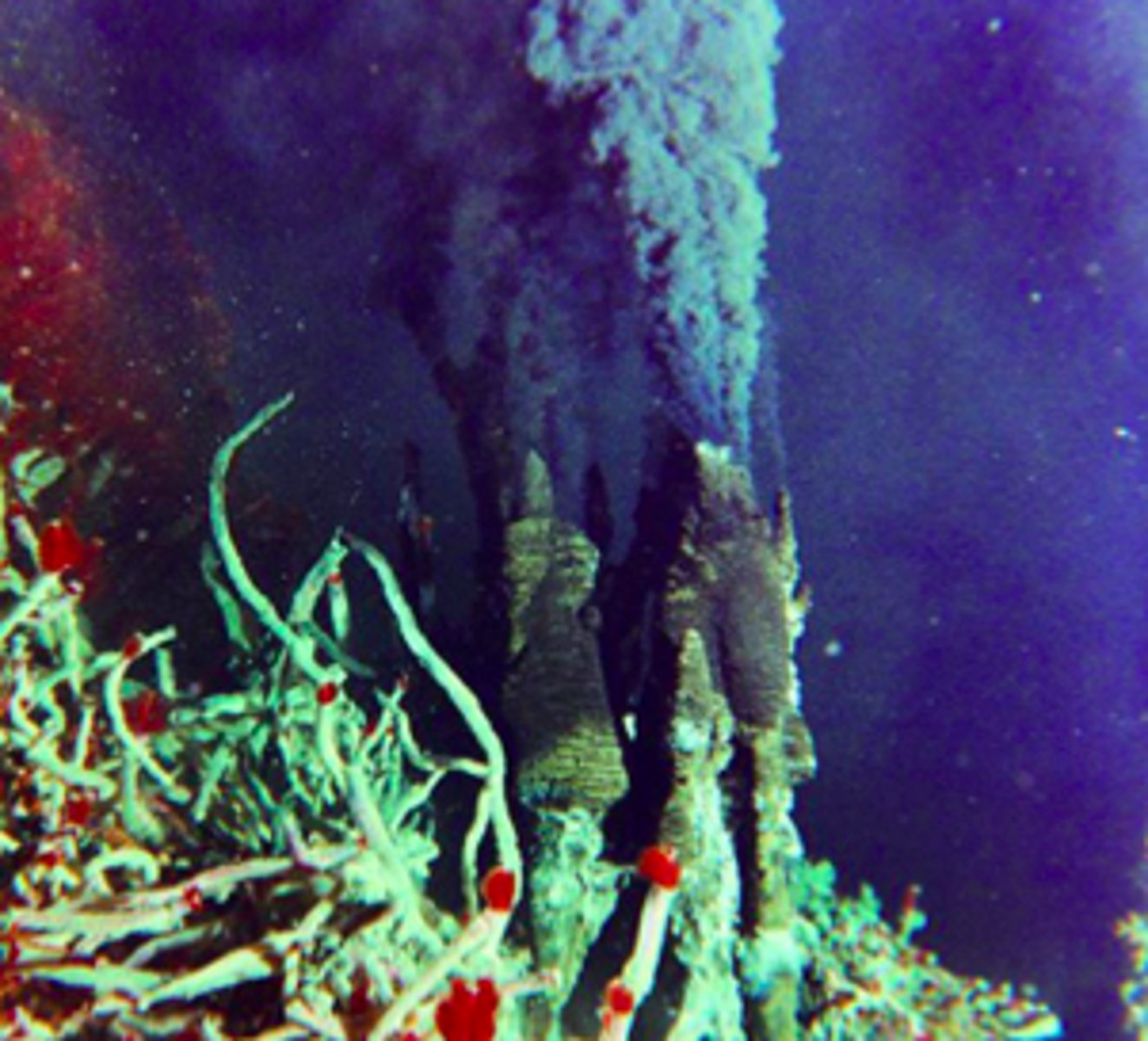<p>spots on the ocean floor where hot gases and minerals escape from earth's interior into the water</p>