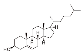 <p>precursor to steroids<br>also helps with cell membrane stability and fluidity (high temps=rigid low temps=fluid)</p>