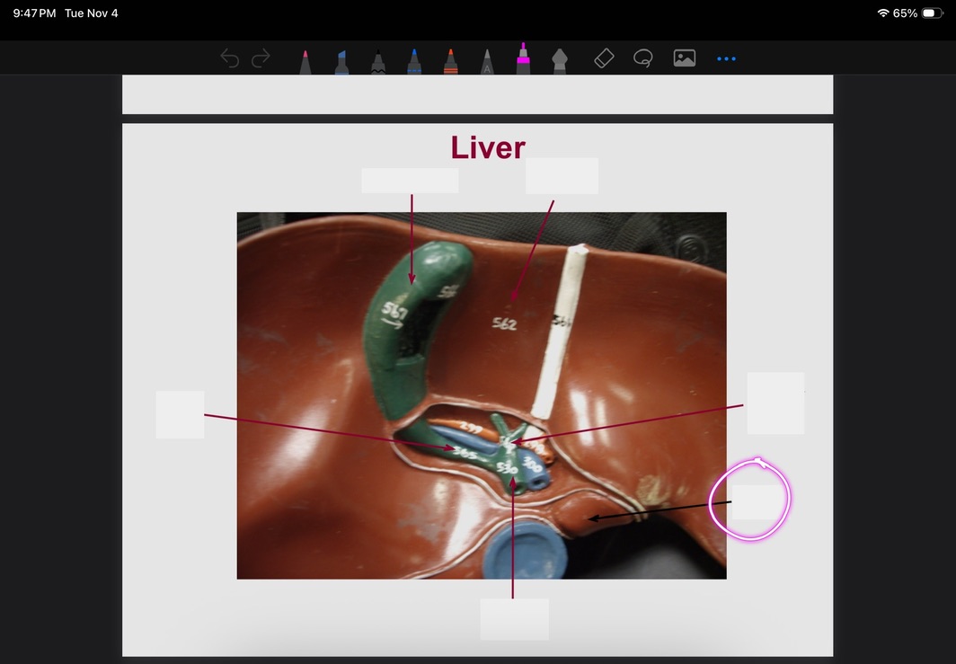 <p>What is this?</p>