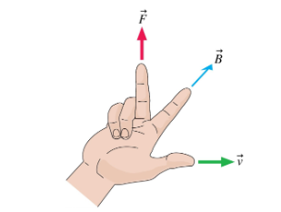 <p>Perform all 4 of the right hand rules and explain them!</p>