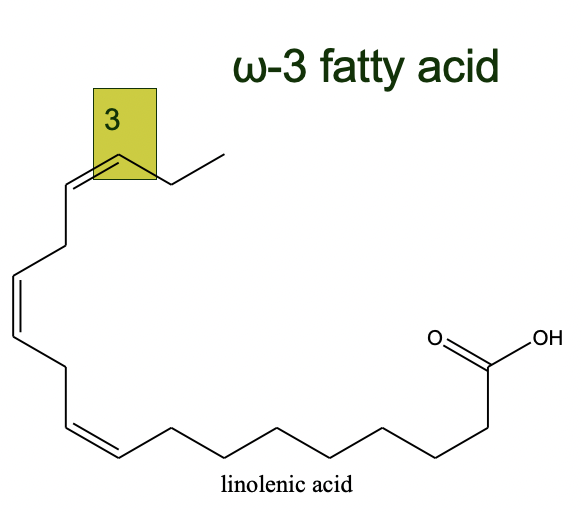 omega-3 fatty acids

_

diet and health