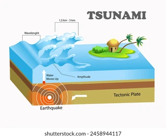 <p>A large wave with long wavelength and moves quickly, caused by displacement of water, often by earthquake or landslides.</p>