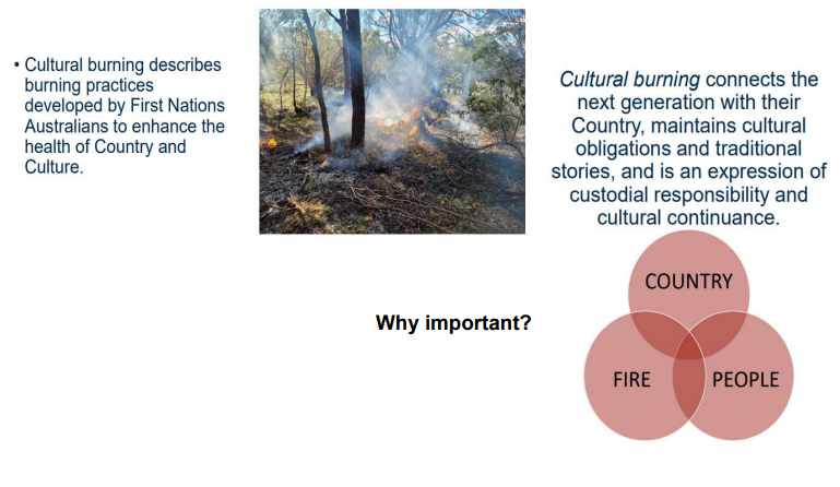 <p>Cultural Burning</p>