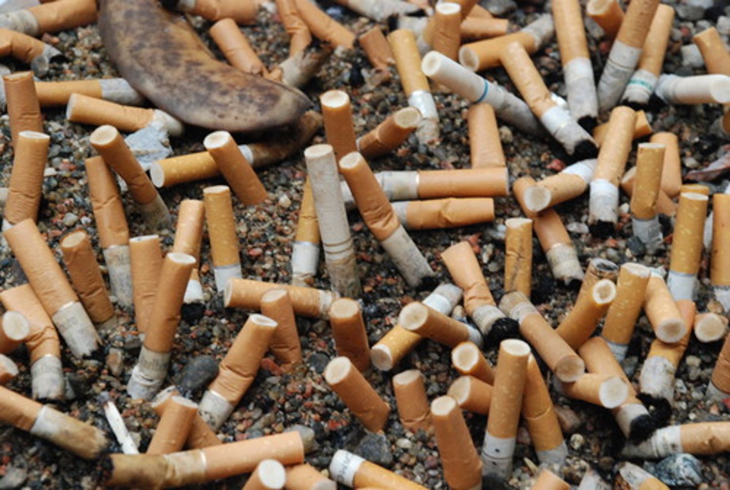 <p>A cancer-causing substance</p>