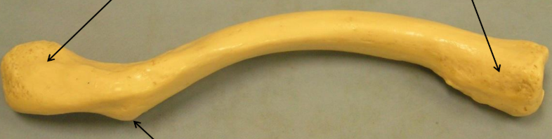 <p>What is this structure?</p>