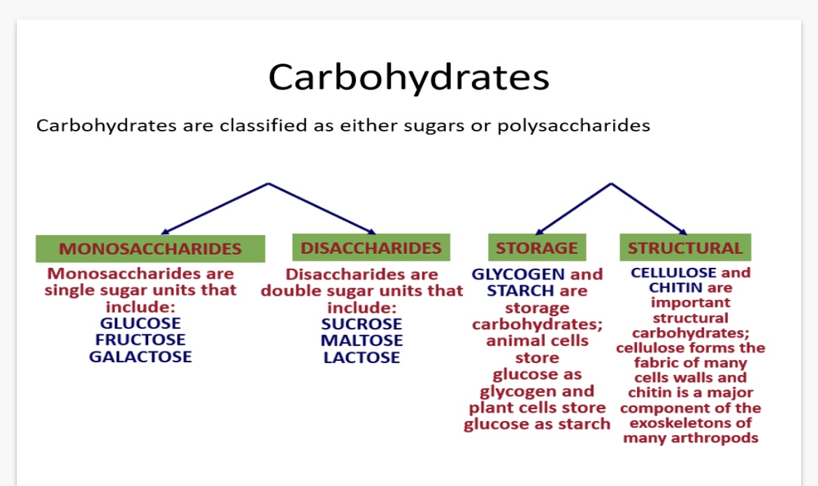 <p>1.single sugar units e.g. glucose, fructose, galactose</p><p>2.Double sugar units e.g. sucrose, maltose, lactose </p><p>3.Complex carbohydrates made up of many monosaccharides joined together by glycosidic bonds.</p><p>4. Glycogen (Animal cells store glucose as glycogen) and starch(plants store glucose as starch)</p><p>5. Cellulose (forms the fabric of many cell walls) and chitin(a major component of the exoskeletons of many arthropods)</p>