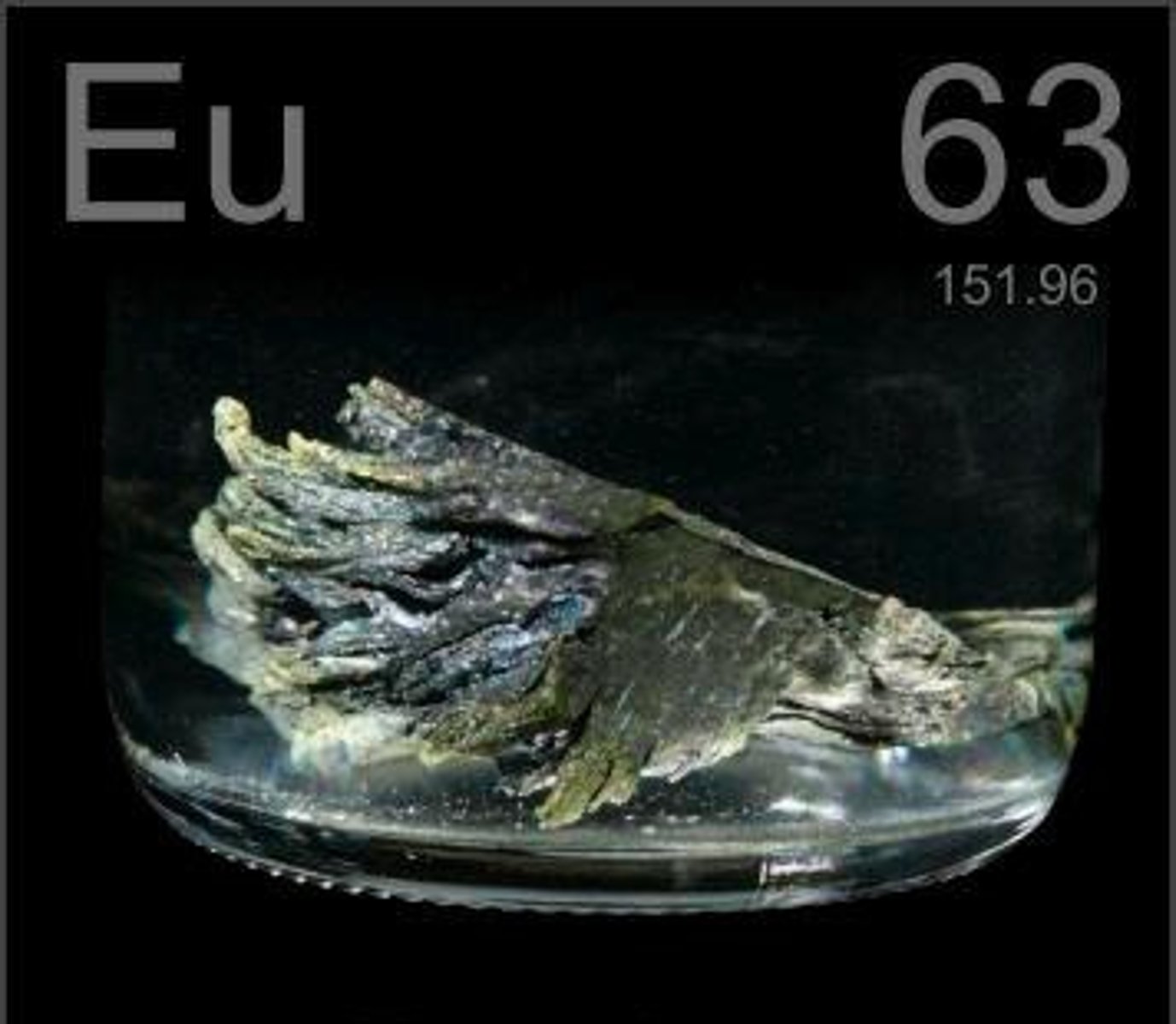 <p>Eu</p>