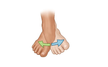 <p>identify the frontal plane movement</p>