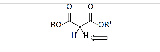 <p>Malonate Ester (R = carbon)</p>