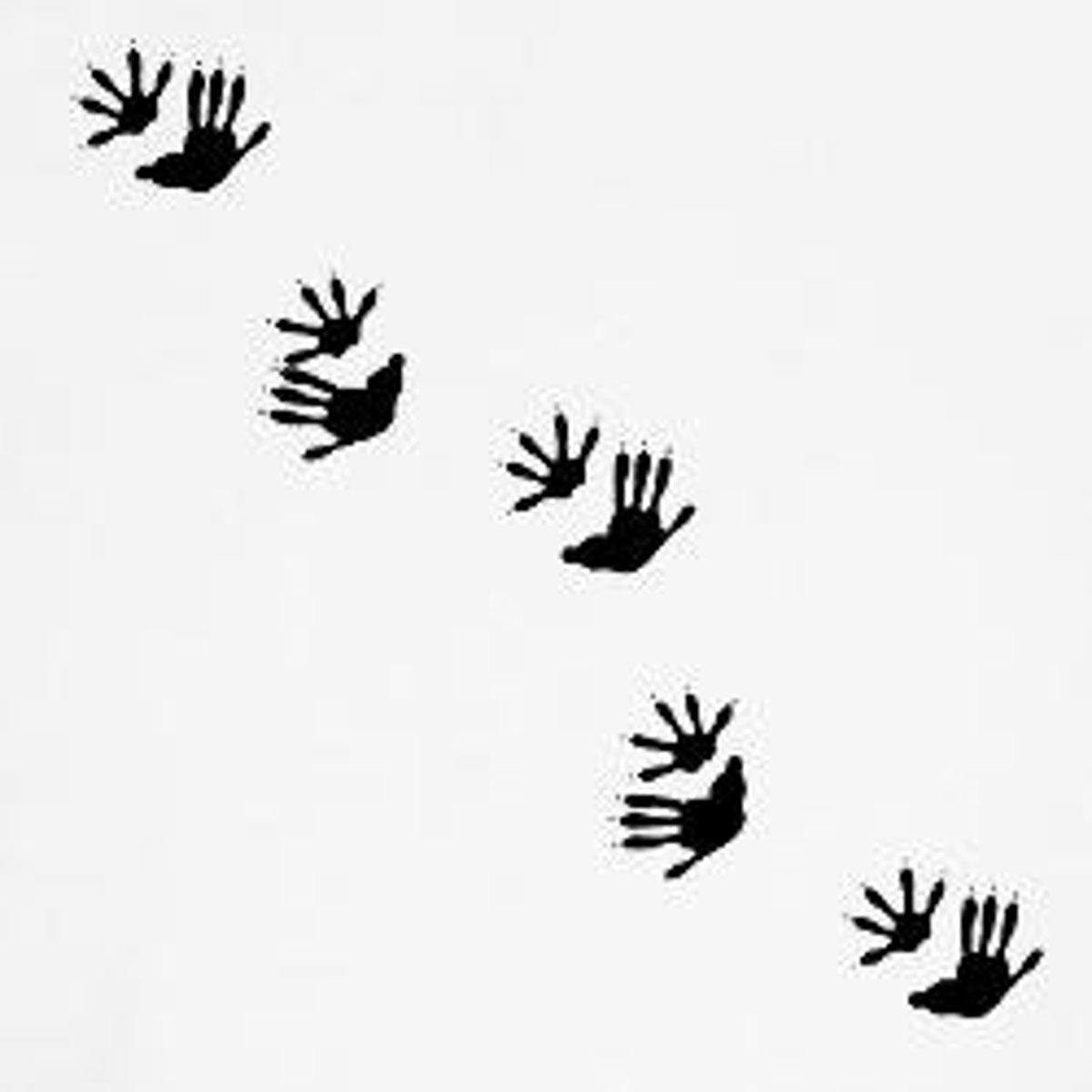 <p>1.5"x2" front, 2.5"x2.5" back foot</p>