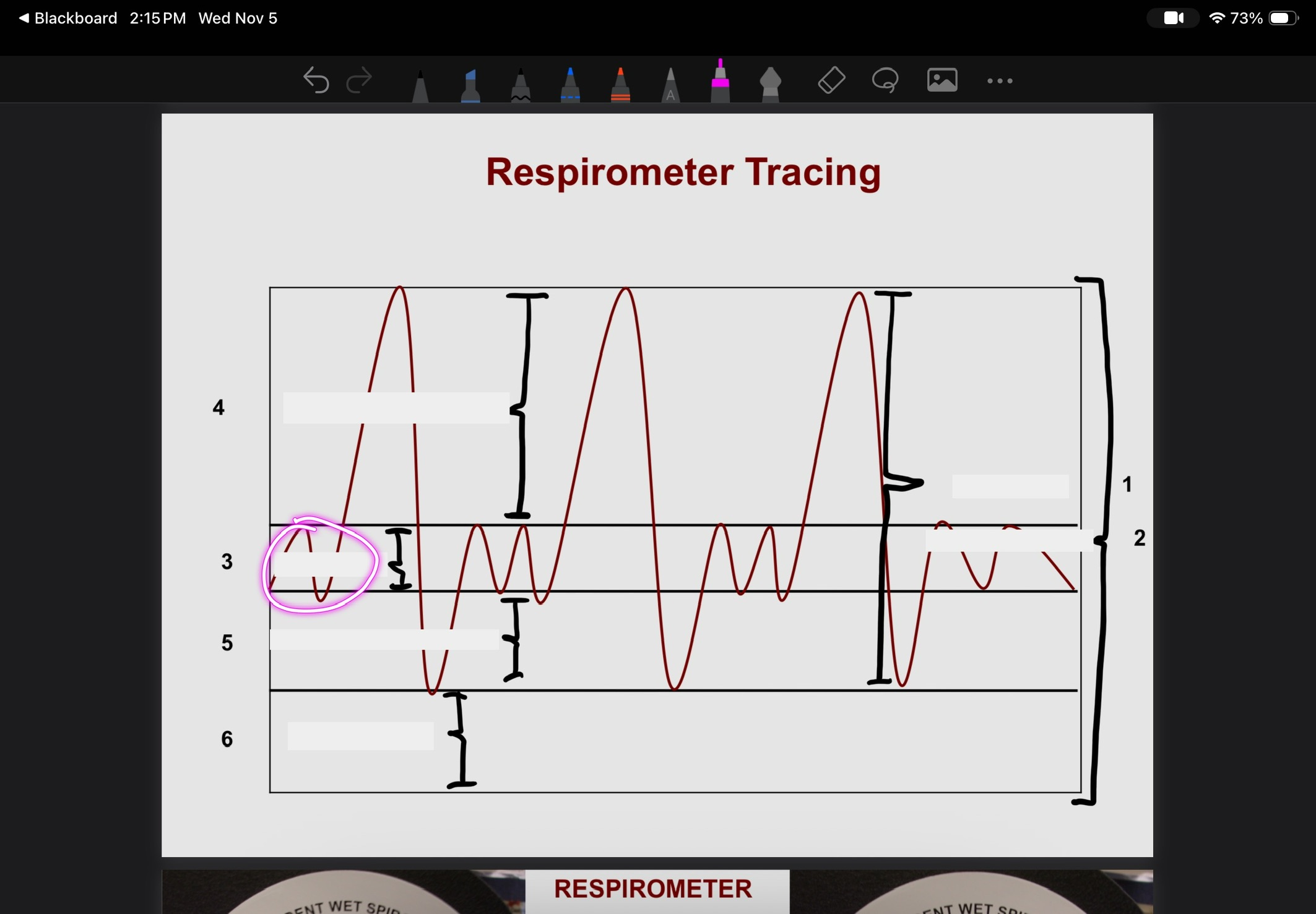 <p>What is this?</p>