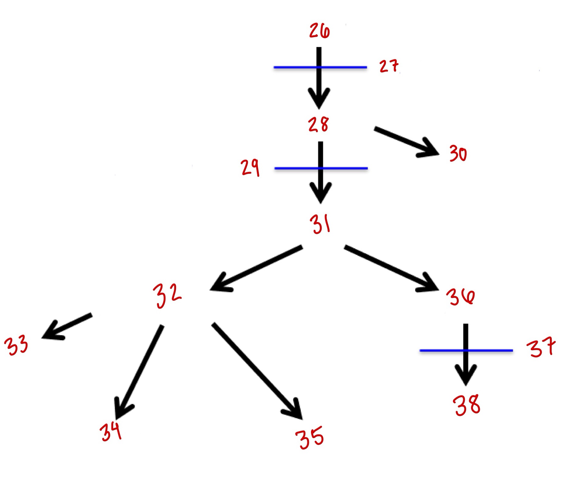 <p>34</p>
