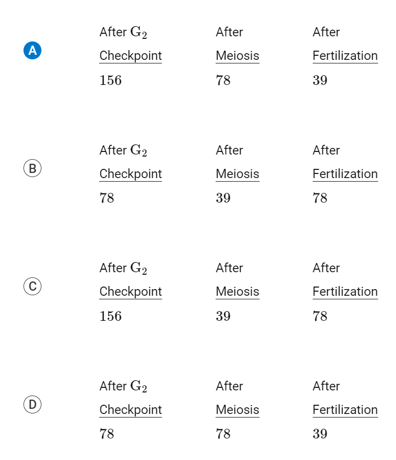 <p>The diploid number of chromosomes in the cell of a domesticated dog is <span>78</span>. Which of the following options includes the correct number of chromosomes in a cell after each cellular process (<span>G2</span> checkpoint, meiosis, and fertilization, respectively)?</p><p>(ignore the that i accidentally selected A)</p>