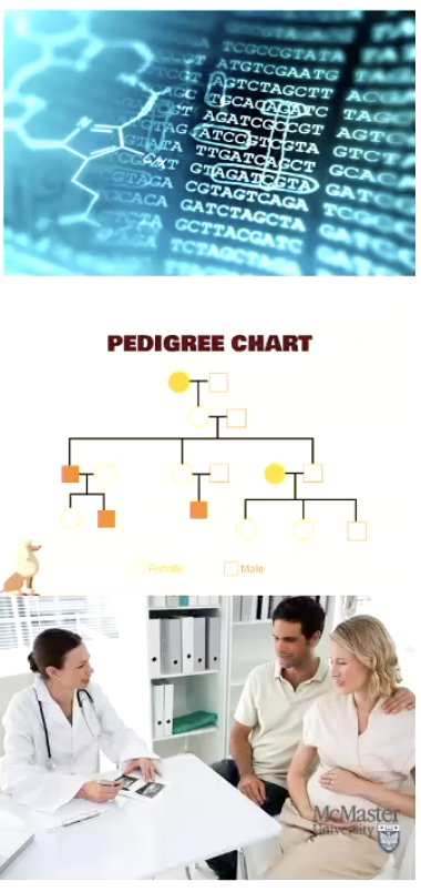 <p>Aims on diagnosing and managing the <strong>medical, psychological, and social</strong> aspects of inherited diseases.<br><strong>Main goals include:</strong></p><ul><li><p class="">Diagnosing hereditary conditions in <strong>infants</strong>.</p></li><li><p class="">Providing <strong>treatment and care</strong> for rare inherited diseases.</p></li><li><p class=""><strong>Assessing genetic risk</strong> for future children through family history and genetic testing.</p></li></ul><p></p>