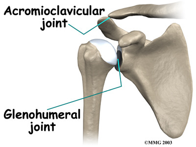 ball and socket, most freely moveable joint in body, coracoacromial ligament, coracohumeral ligament, glenohumorial ligament ( 3 ligaments supporting articular capsule), acromioclavicular ligament, coracoclavicular ligament