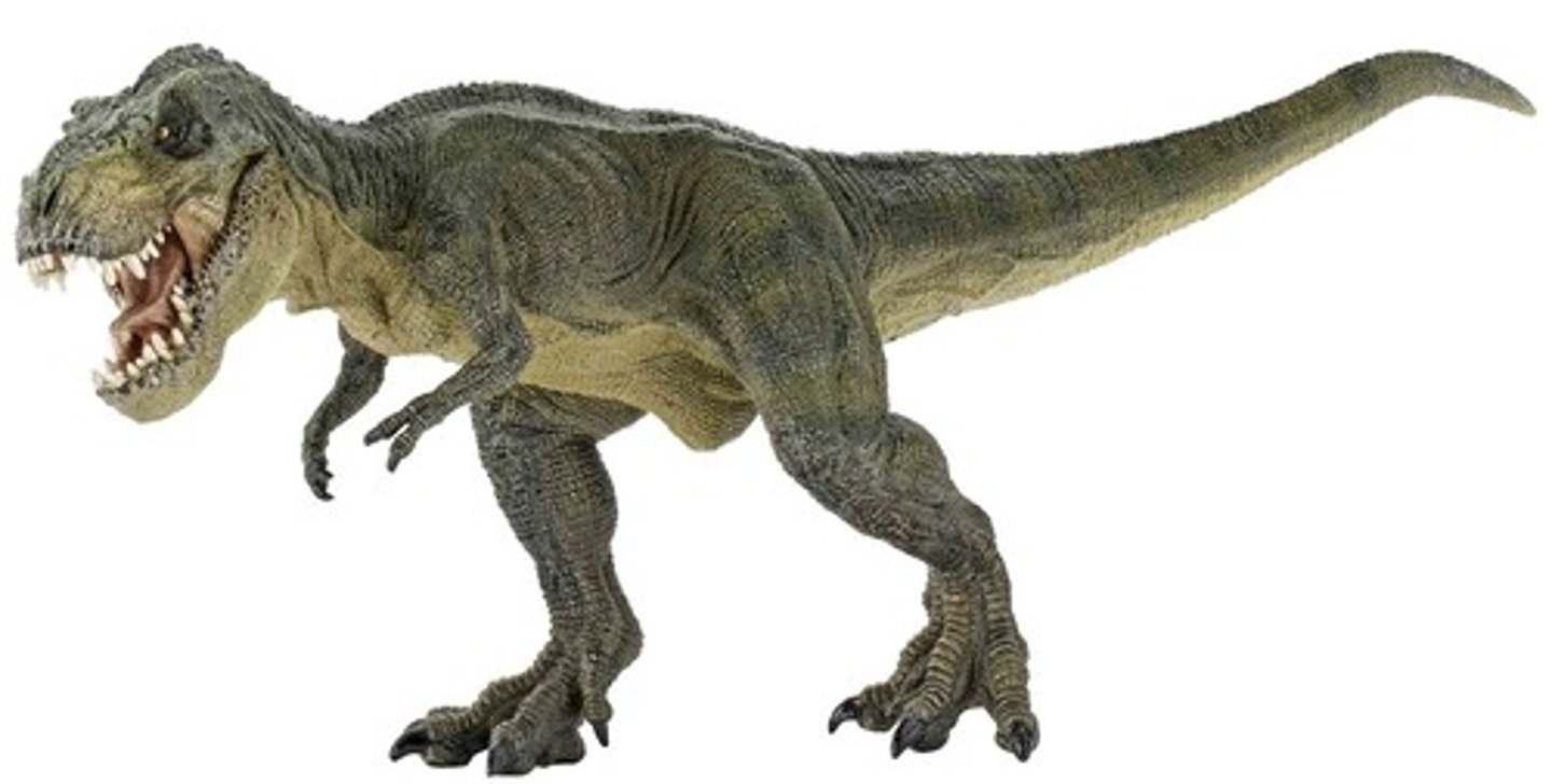 <p>dinosaur</p>