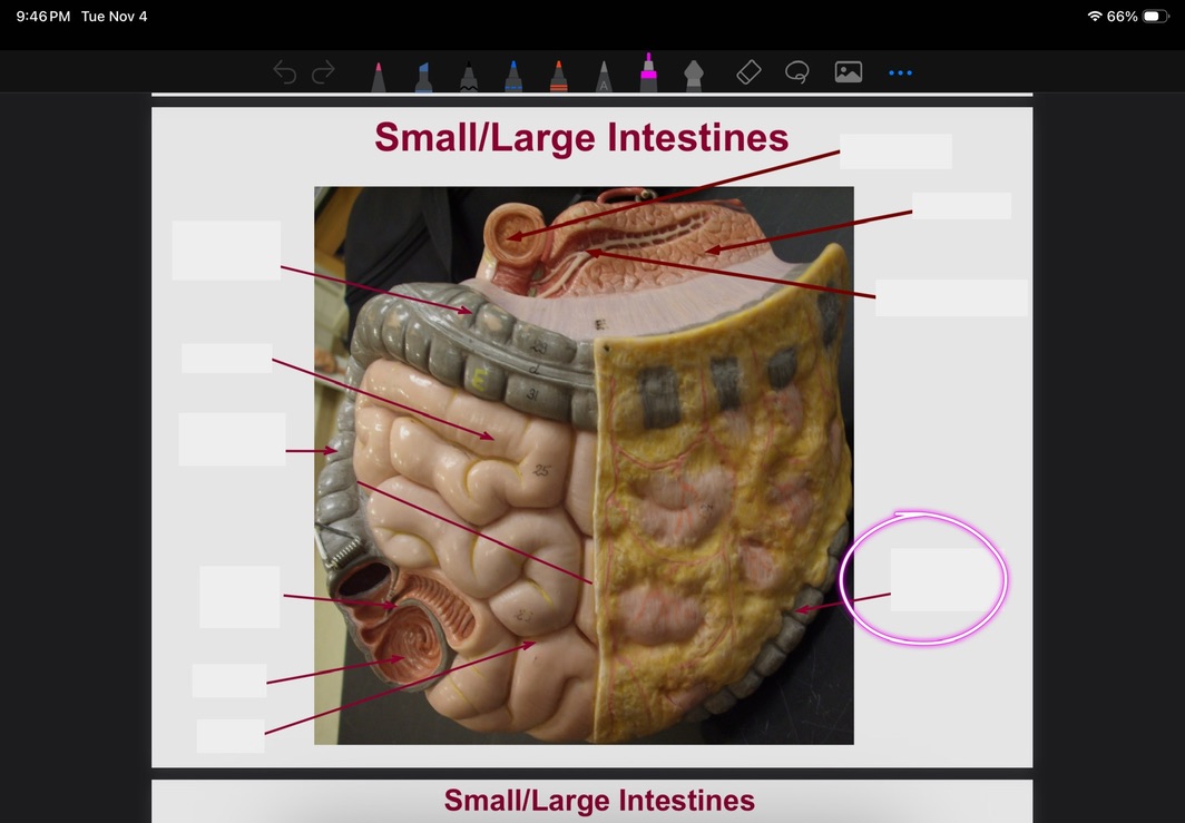 <p>What is this?</p>