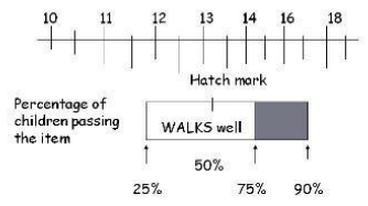 <p>HATCH MARKS</p>