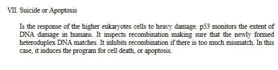 <p>VII. Suicide or Apoptosis</p><p>When DNA damage is <strong>very severe</strong>,<strong> human cells</strong> do <strong>not</strong> use error-prone DNA synthesis like bacteria.<br>Instead: The <strong>cell chooses to commit suicide (apoptosis) to protect the entire organism.</strong></p><p>This prevents damaged cells from:</p><ul><li><p>becoming cancerous</p></li><li><p>passing on mutations</p></li><li><p>disrupting tissues</p></li></ul><p>This response is controlled by <strong>p53</strong>, a tumor suppressor protein</p><p><strong>Suicide or Apoptosis</strong> is the <strong>response</strong> of the<strong> higher eukaryotes </strong>cells to<strong> heavy damage</strong>.</p><p><strong>p53 monitors the extent of DNA damage in humans </strong>by <strong>inspecting recombination making sure that the newly formed heteroduplex DNA matches.</strong> p53<u> inhibits recombination if there is too much mismatch</u>. In this case, p53 induces the program for cell death, or apoptosis.</p><p><strong>Ultra-Simple Summary</strong> </p><ol><li><p><strong>p53 monitors DNA damage.</strong></p></li><li><p>It checks whether recombination repair is accurate.</p></li><li><p>If mismatches are too high → recombination is unsafe.</p></li><li><p>p53 decides the cell is too damaged to fix.</p></li><li><p>p53 activates <strong>apoptosis</strong> → controlled cell suicide.</p></li><li><p>This prevents mutations from turning into cancer</p></li></ol><p></p>