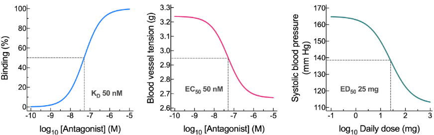 <p>A ligand binding study generates a —— curve. This gives us the —— value → concentration of ligand at which 50% of targets are bound.</p><p>An isolated tissue study generates a ——- ——— curve. This gives us the ——- value → concentration of ligand that gives 50% of the maximum effect.</p><p>An in vivo study generates —— ——- curve. This gives us the —— value → dose of ligand that generates 50% of the maximum response.</p><p>These are all —— curves achieved by taking the log of the hyperbolic curve.</p>