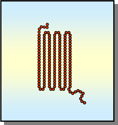 <p><span>Contains a definite melting point where polymer flow occurs</span></p>