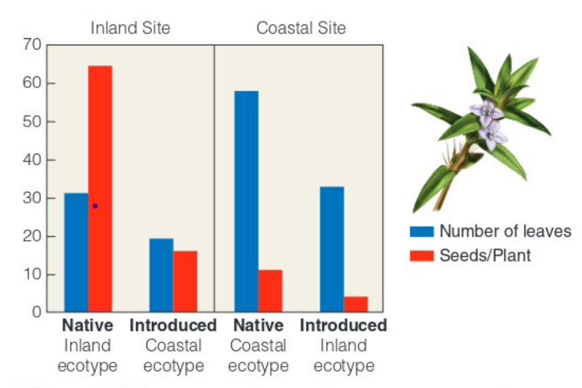 <p>what can we infer from the figure related to phenotypic plasticity and genetic differentiation?</p>
