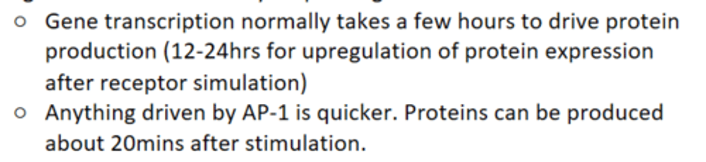 <p>- Regulates immediate early response genes.</p><p>- Regulates cellular function eg cell growth.</p>