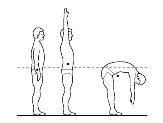 <ul><li><p>not a fixed position</p></li><li><p>can be outside of the body</p></li></ul><p></p>