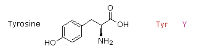 <p>Try, Y</p>