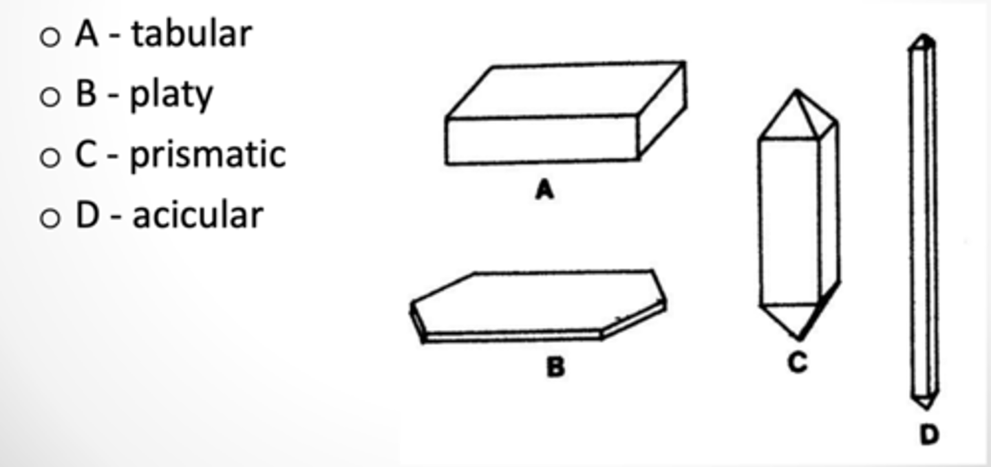 <p>Tabular, Platy, Prismatic, Acicular</p>
