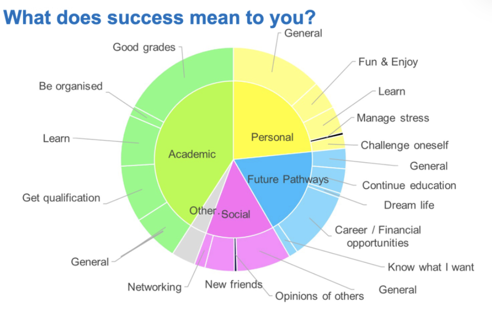 <p>Researchers want to understand how students measure success at university and how it relates to their well-being.</p>