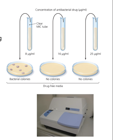 <p>What does the <strong>minimum inhibitory concentration</strong> test determine?</p>