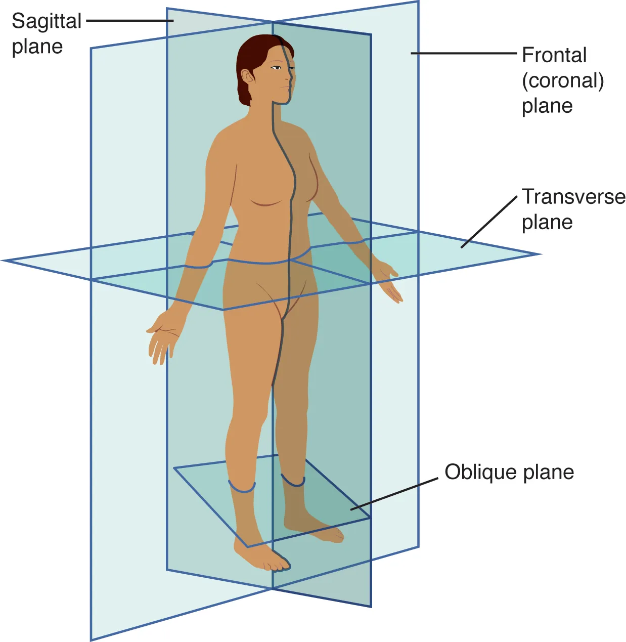 <p>plane</p>