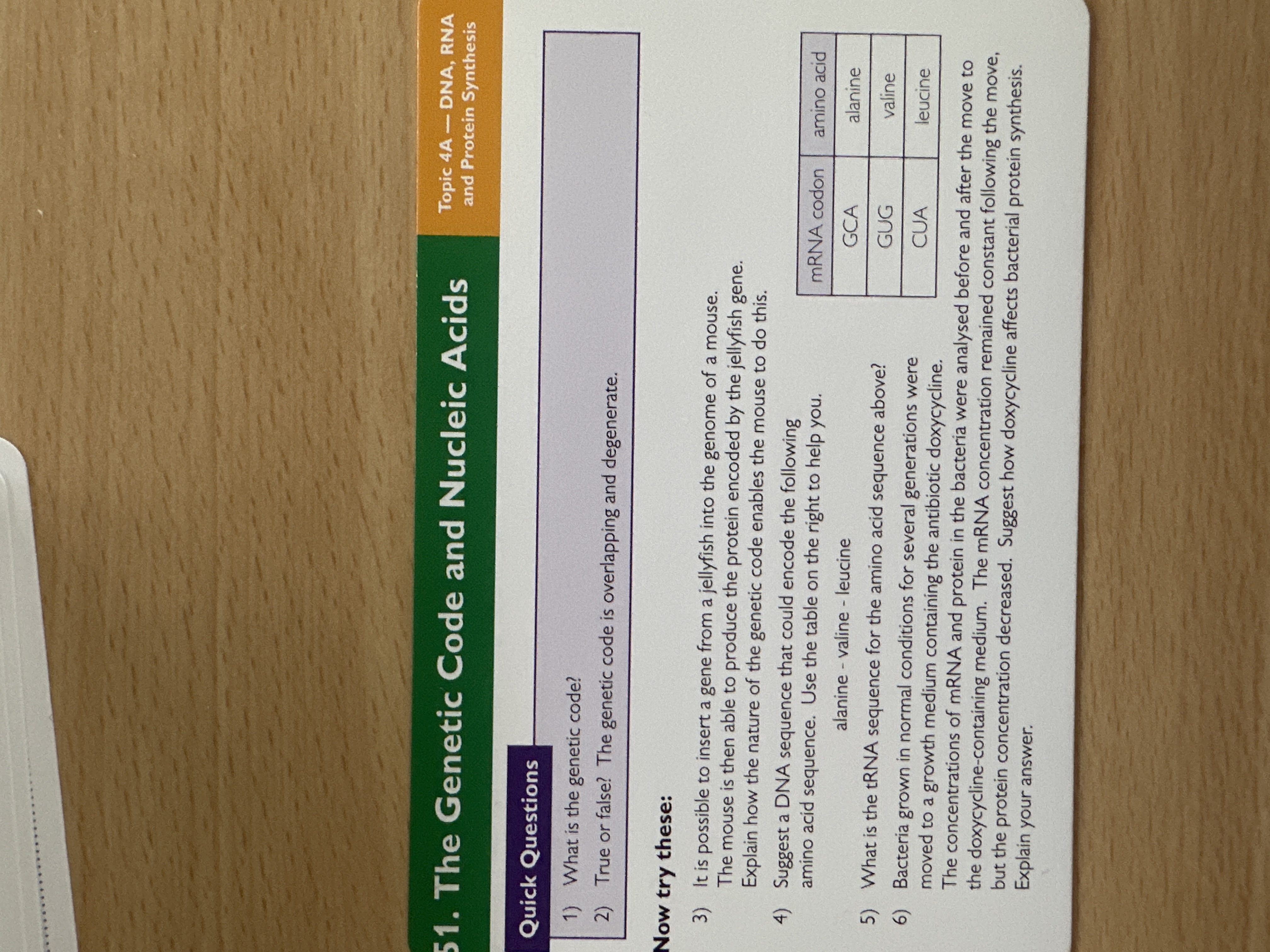 Genetic code and nucleic acids 
