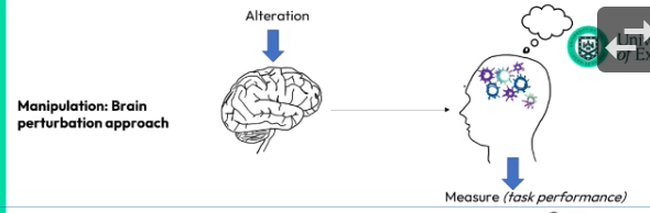 <p>There is an alteration to brain function (e.g someone with a lesion), and task performance is tested to test for differences compared to a typical brain.</p>
