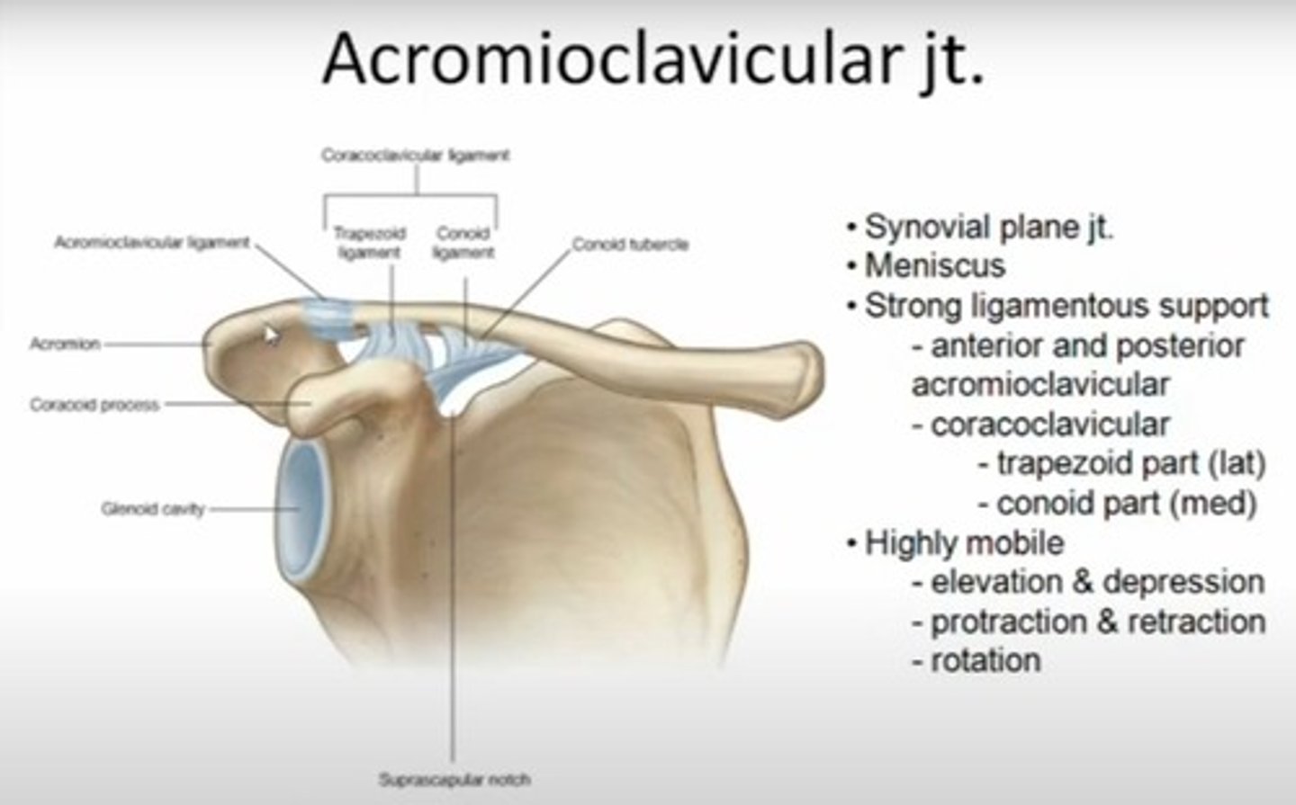 <p>It is a synovial plane joint.</p>