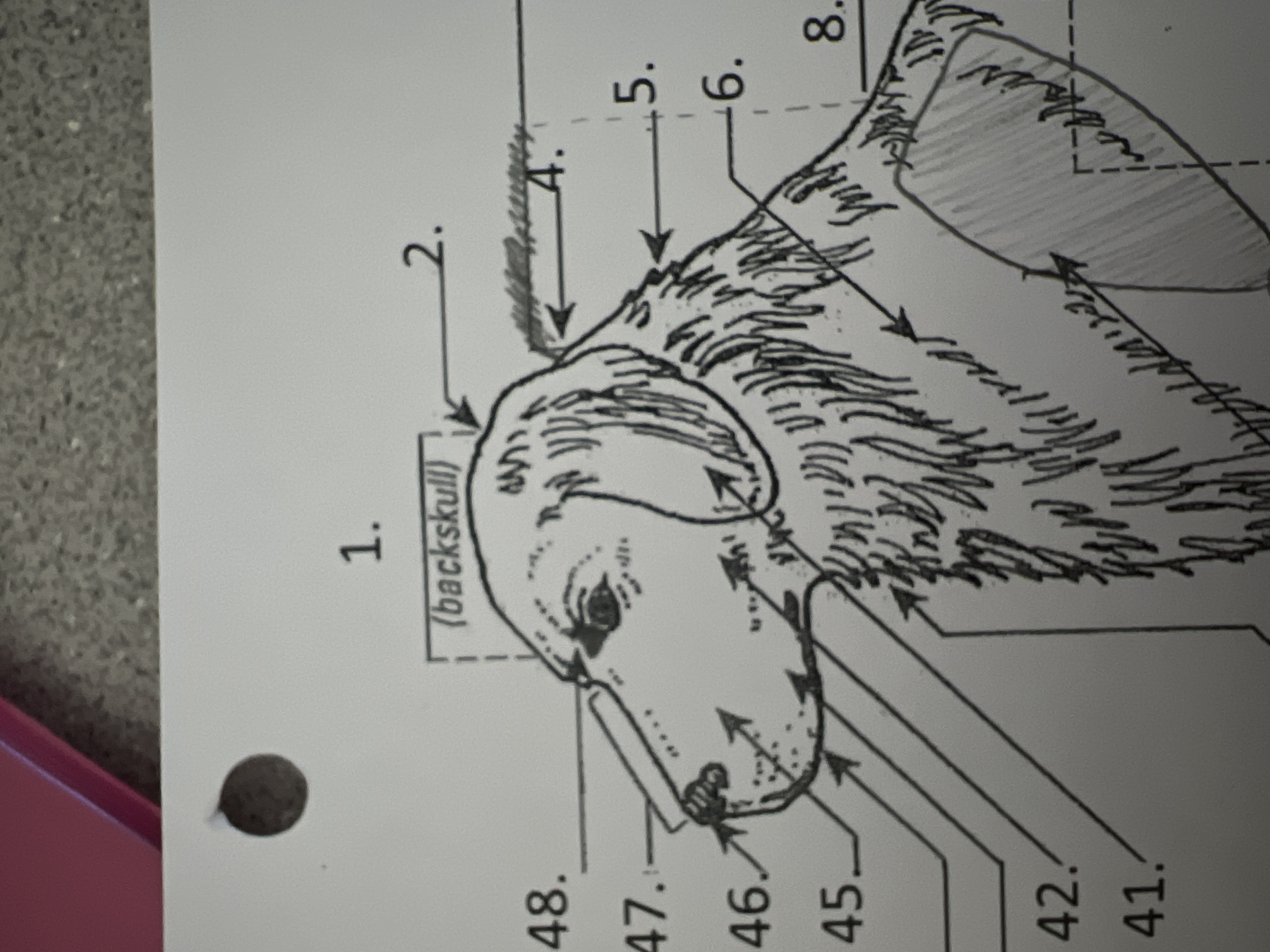 
4. \
