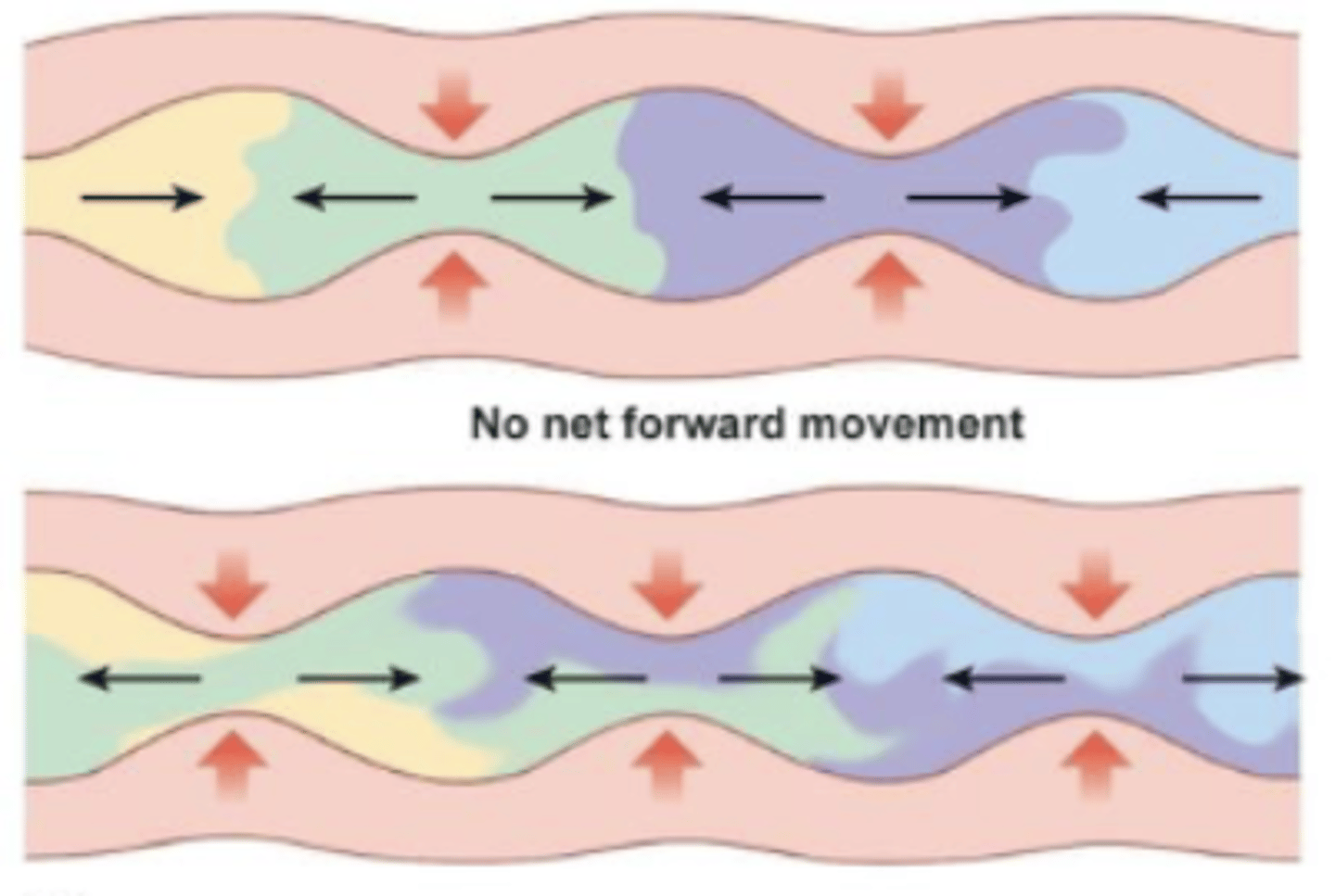 <p>mix food and break it down; adjacent areas of GIT alternate relaxing and contracting</p><p>mixing with enzymes occurs in small intestine</p>