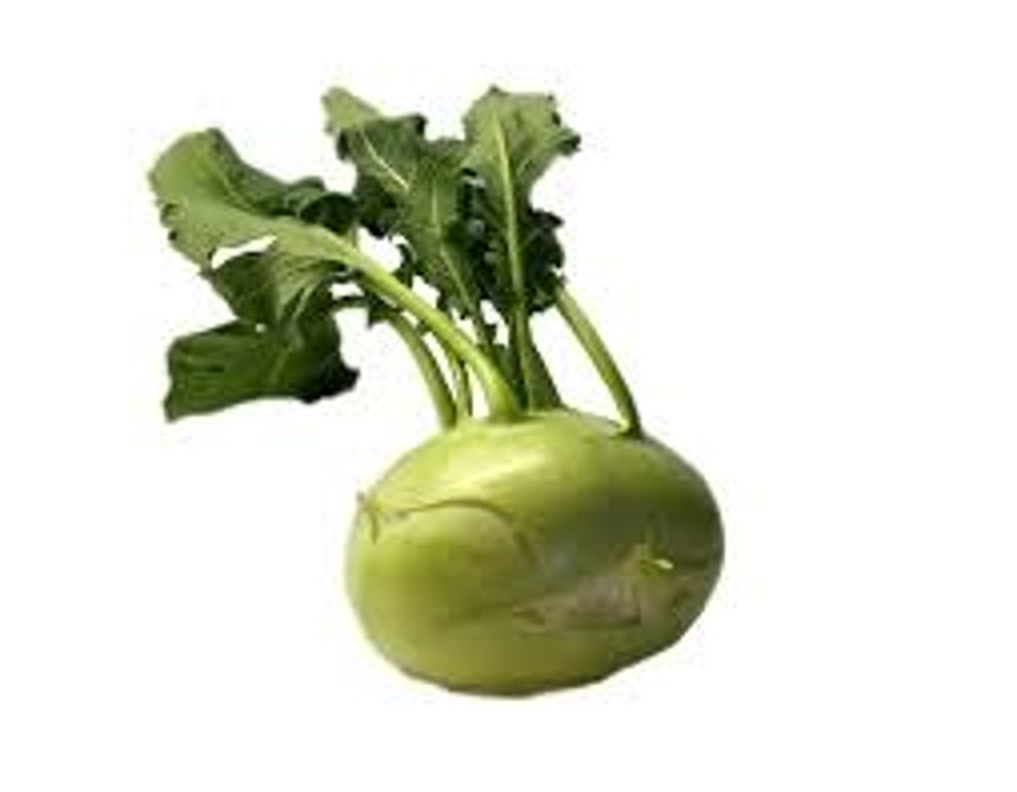 <p>kohlrabi</p>