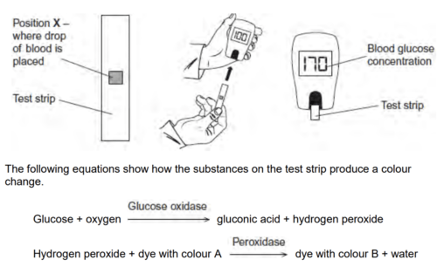 <p>1. Glucose oxidase and peroxidase; Both enzymes required <br>2. Dye (with colour A);</p>