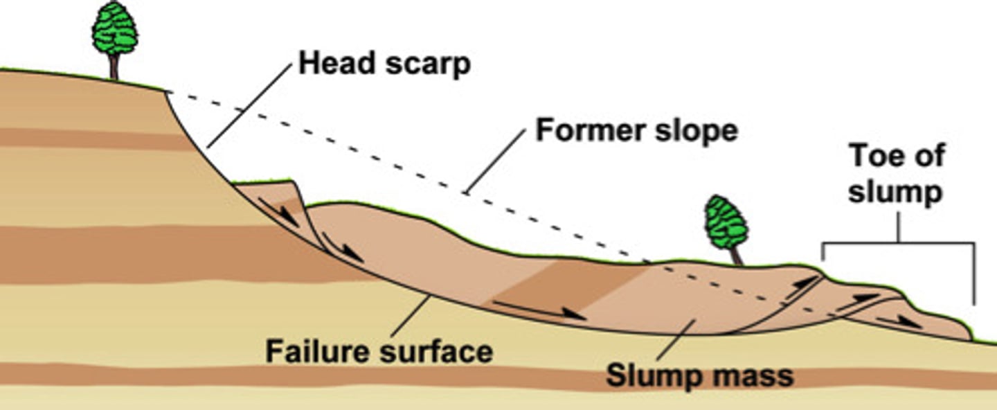 <p>a weak surface that forms the base of a landslide</p>
