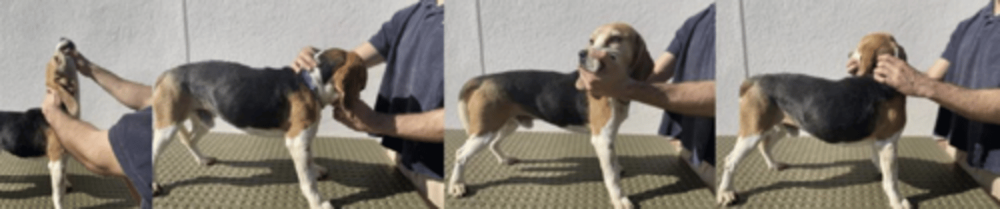 <p>what is happening here ?</p>