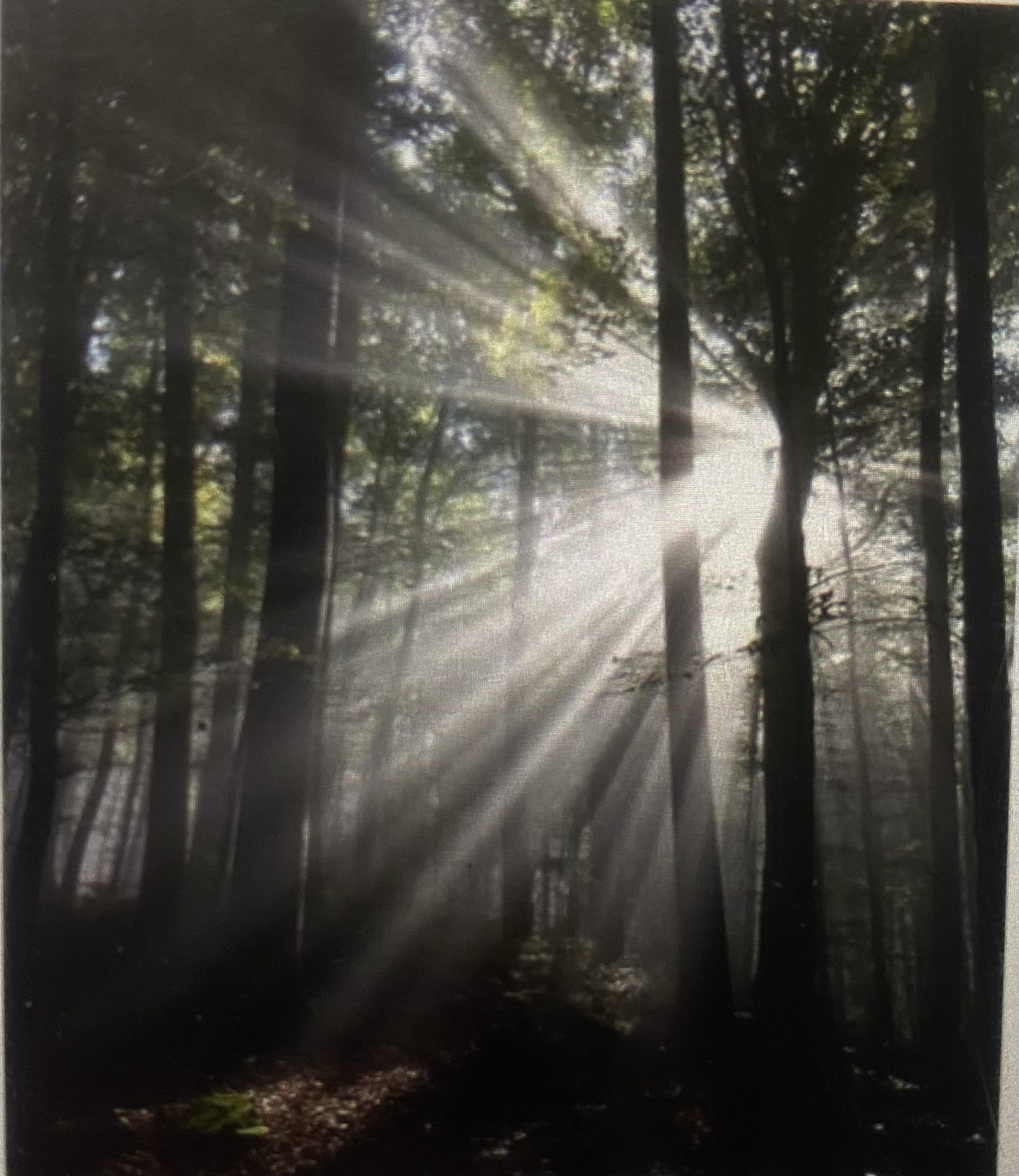 <p>Faraday-Tyndall effect</p>