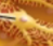 <p>what is this?</p>