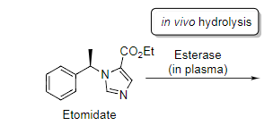 Phase I Metabolism Metabolism by hydrolysis: esterases and peptidases can potentially 