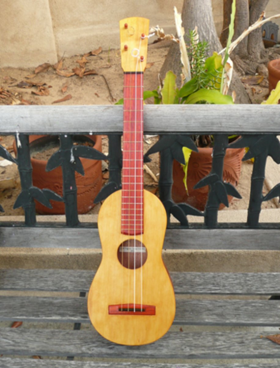 <p>Four- or five-stringed lute, a smaller cousin to the guitar and one of the central instruments in son jarocho</p>