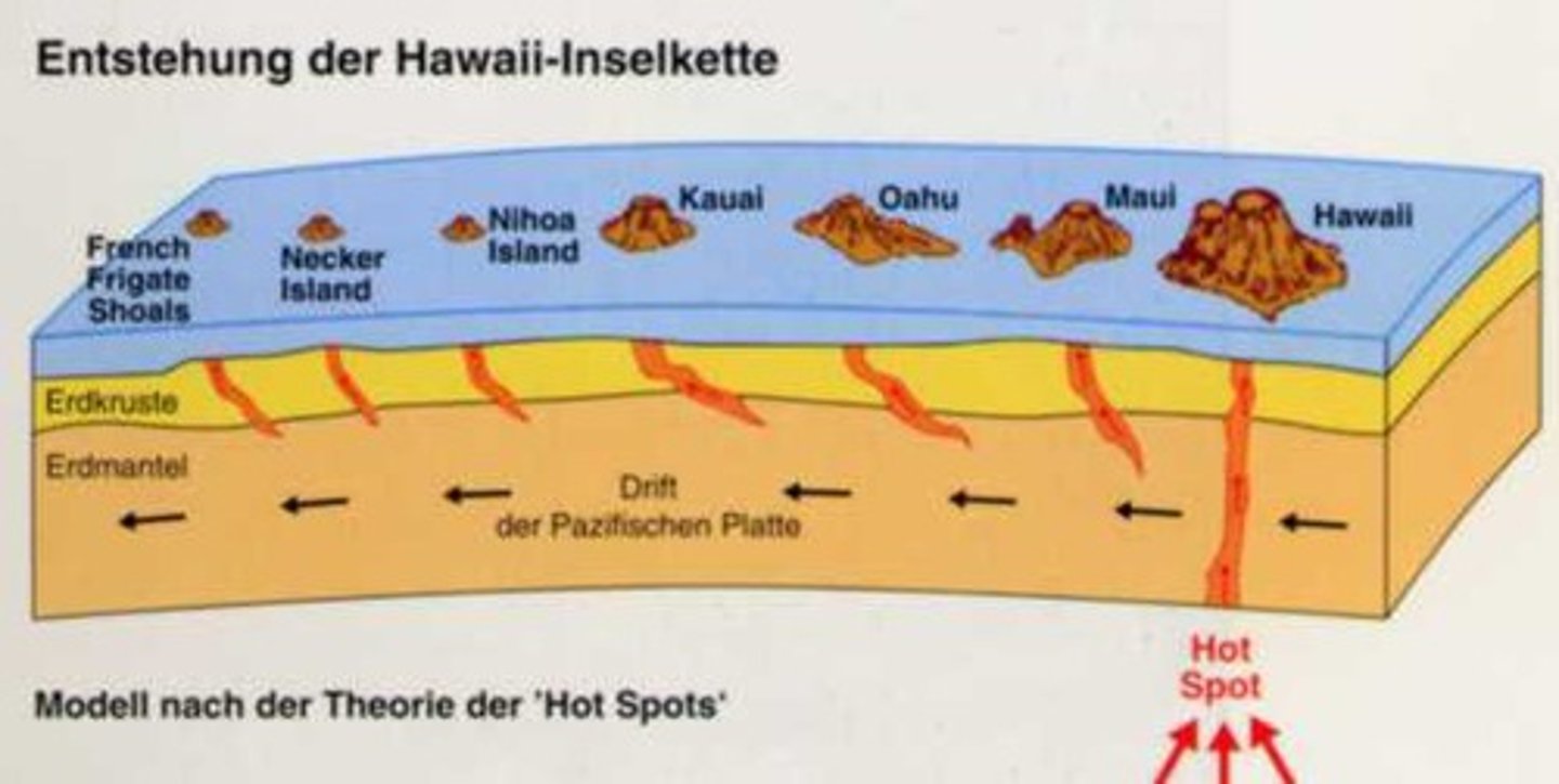 <p>- A column of magma rises up through the mantle, it reaches the lithosphere where it spreads out and pushes the lithosphere up.</p><p>- Heat from the plume raises the temperature of the lithosphere allowing the magma to emerge on the surface, creating a volcano (which is fed by the plume).</p><p>- However, the plume stays in place while the plate above it moves, the volcano will stop being fed and go extinct.</p><p>- A new volcano will form above the hotspot, as the old volcano is eroded.</p><p>- Over time this creates a chain of islands (Hawaii)</p>