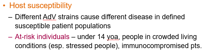 <p><strong>Different adenovirus strains cause different diseases </strong>in specific patient populations, making host susceptibility depend on the strain.</p><p><em>At-risk individuals – under 14 yoa, people in crowded living conditions (esp. stressed people), immunocompromised pts.</em></p>