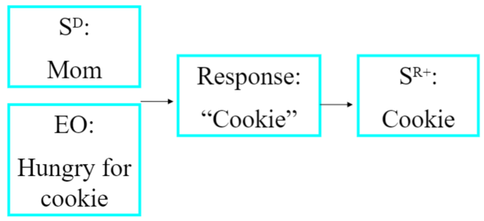 <p>response form controlled by CURRENT ESTALISHING OPERATION, or controlled by what the speaker wants from the listener</p><p>(from the word &quot;command&quot; or &quot;demand&quot;)</p><p>ex. kid asks for ball when they want to play with it</p>